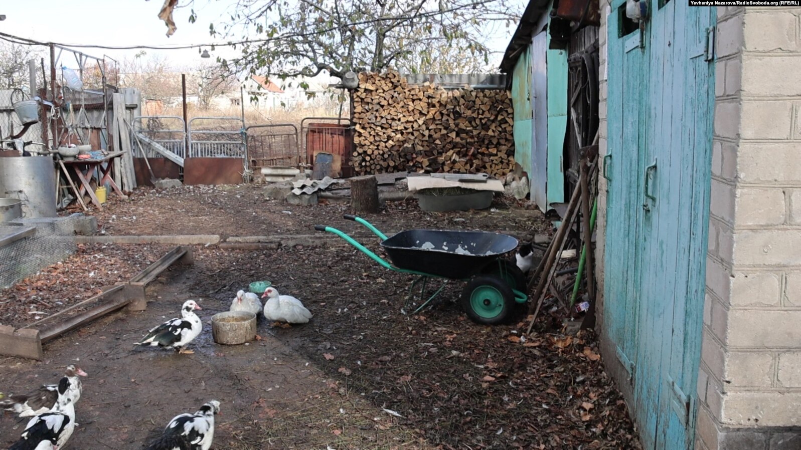 Краще вдома, ніж там десь в гуртожитку