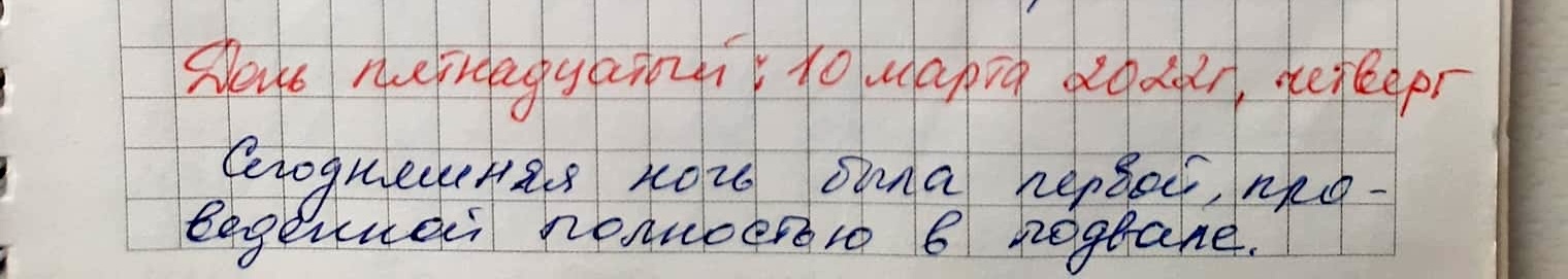 Голоси вбитих. Щоденник війни Катерини Савенко з Маріуполя