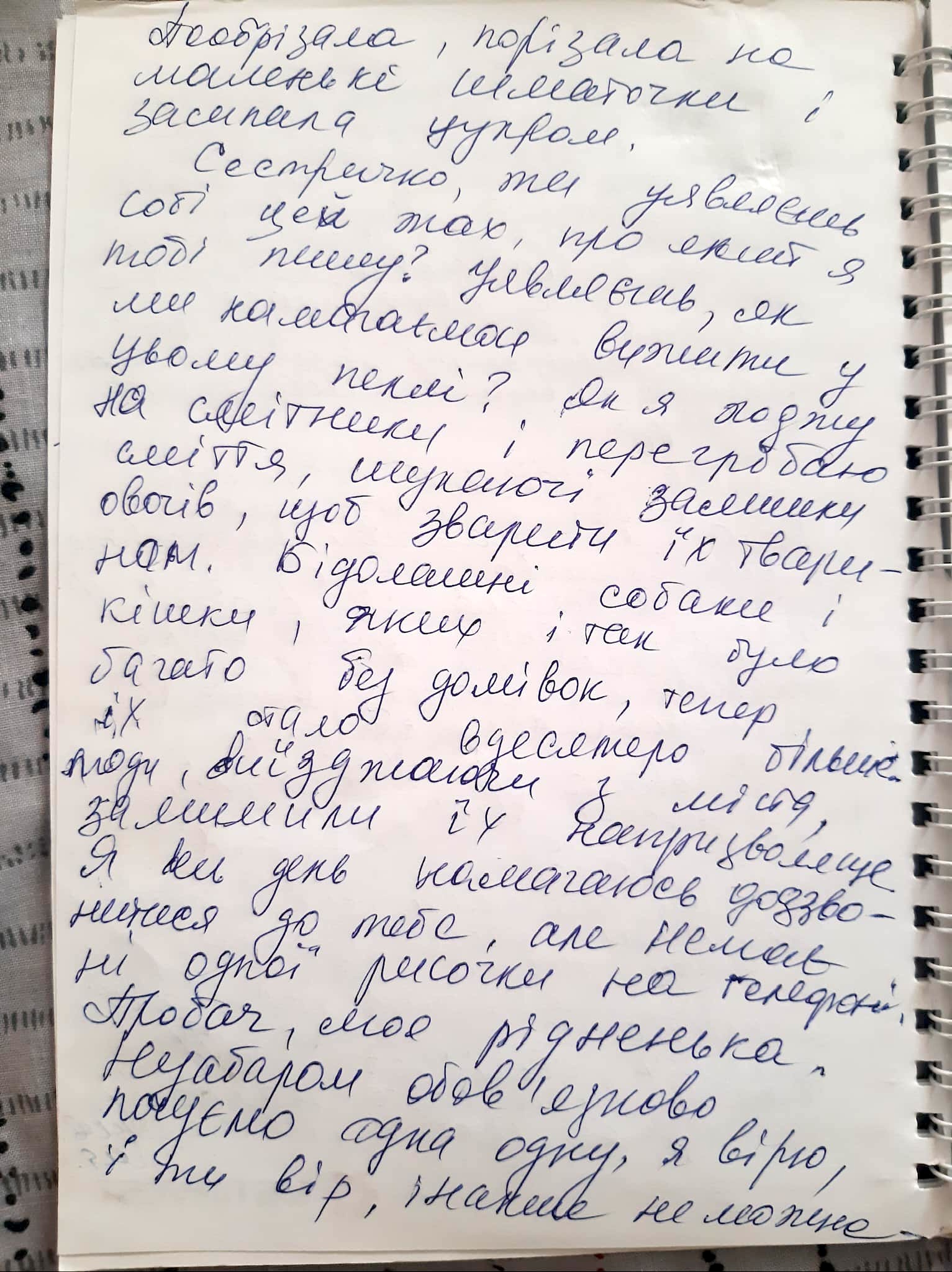 Голоси вбитих. Щоденник війни Катерини Савенко з Маріуполя