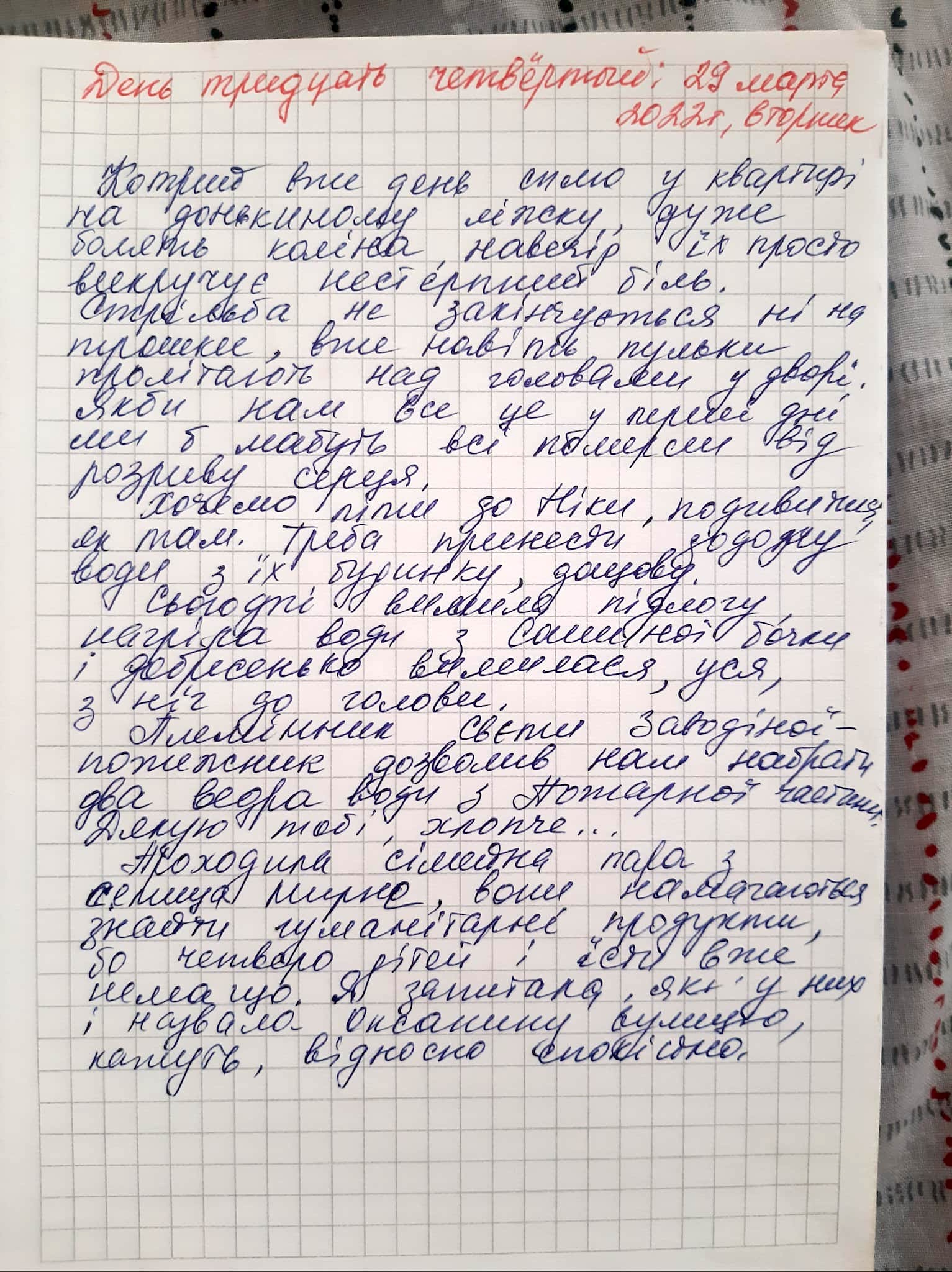 Голоси вбитих. Щоденник війни Катерини Савенко з Маріуполя