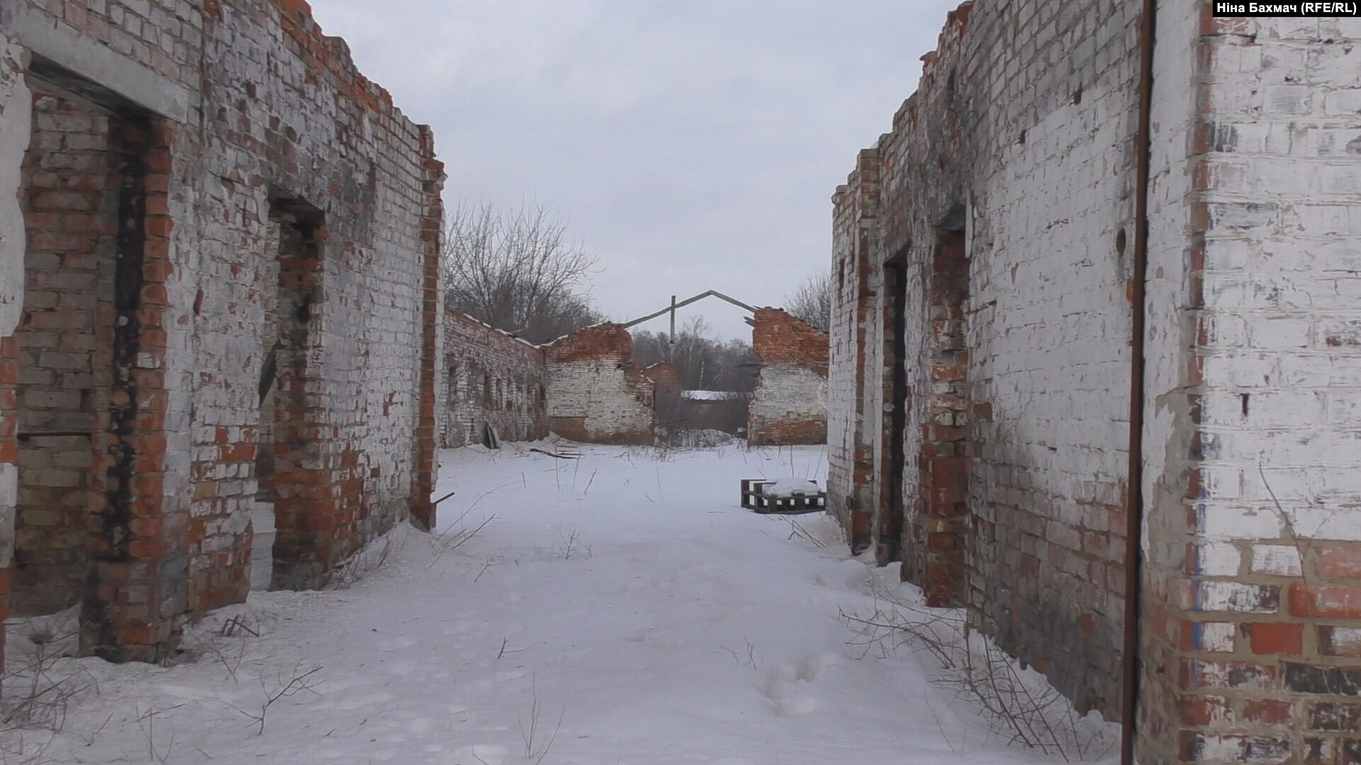 «Снаряд прилетів прямо у стайню»: історія про те, як конюх під обстрілами врятував коней»