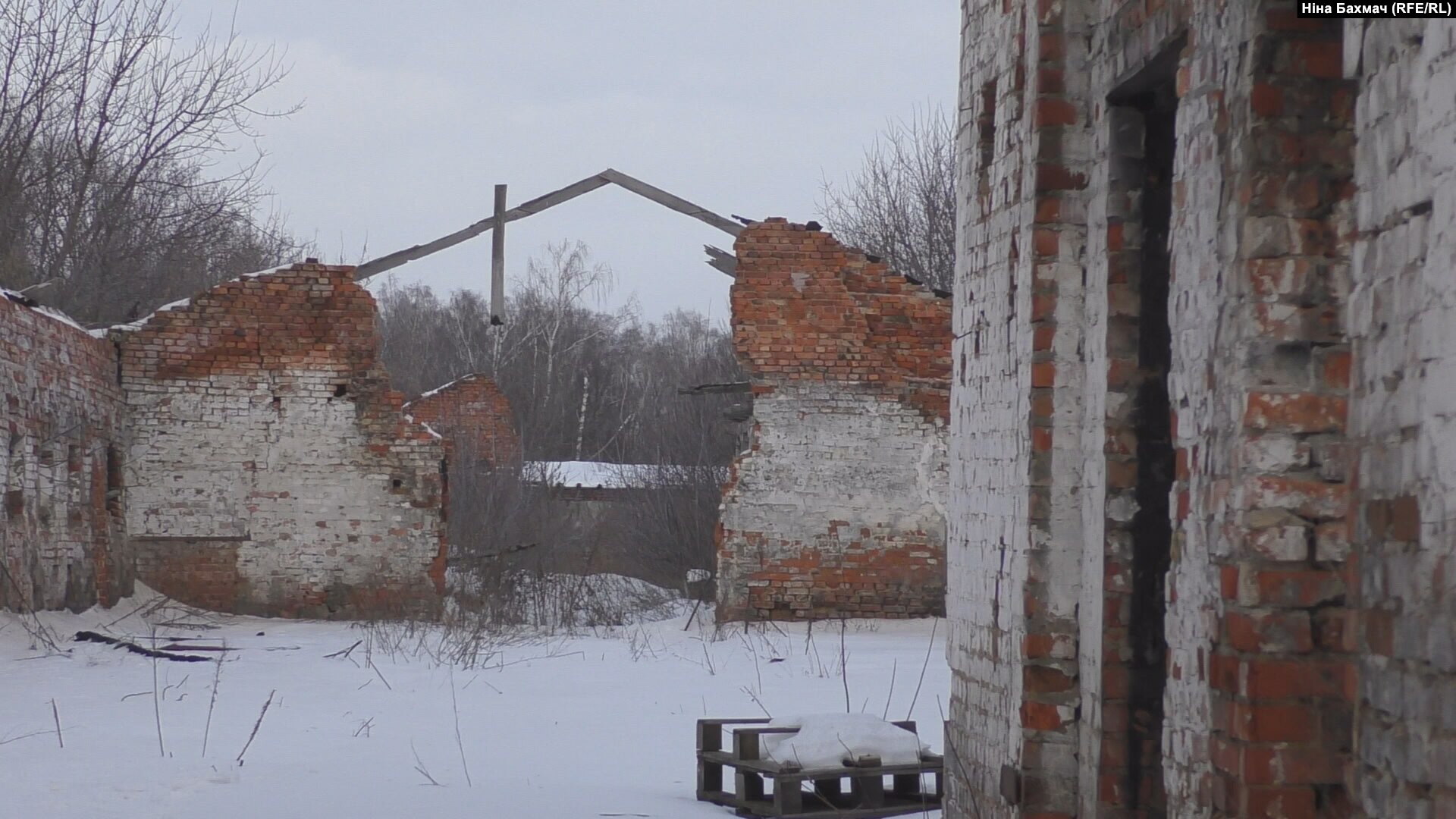 «Снаряд прилетів прямо у стайню»: історія про те, як конюх під обстрілами врятував коней»