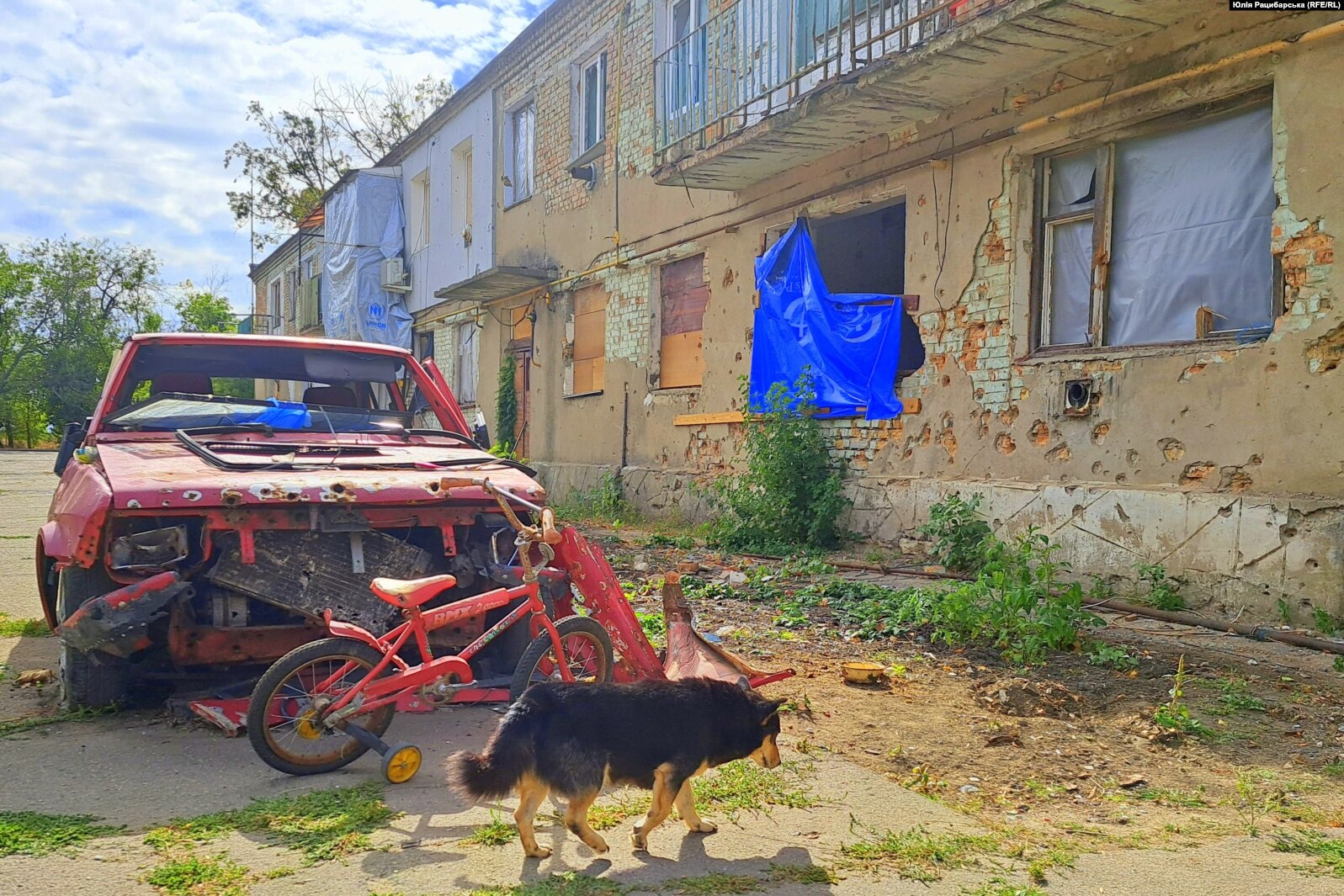 Мамо, я ще дуже маленька, щоб помирати