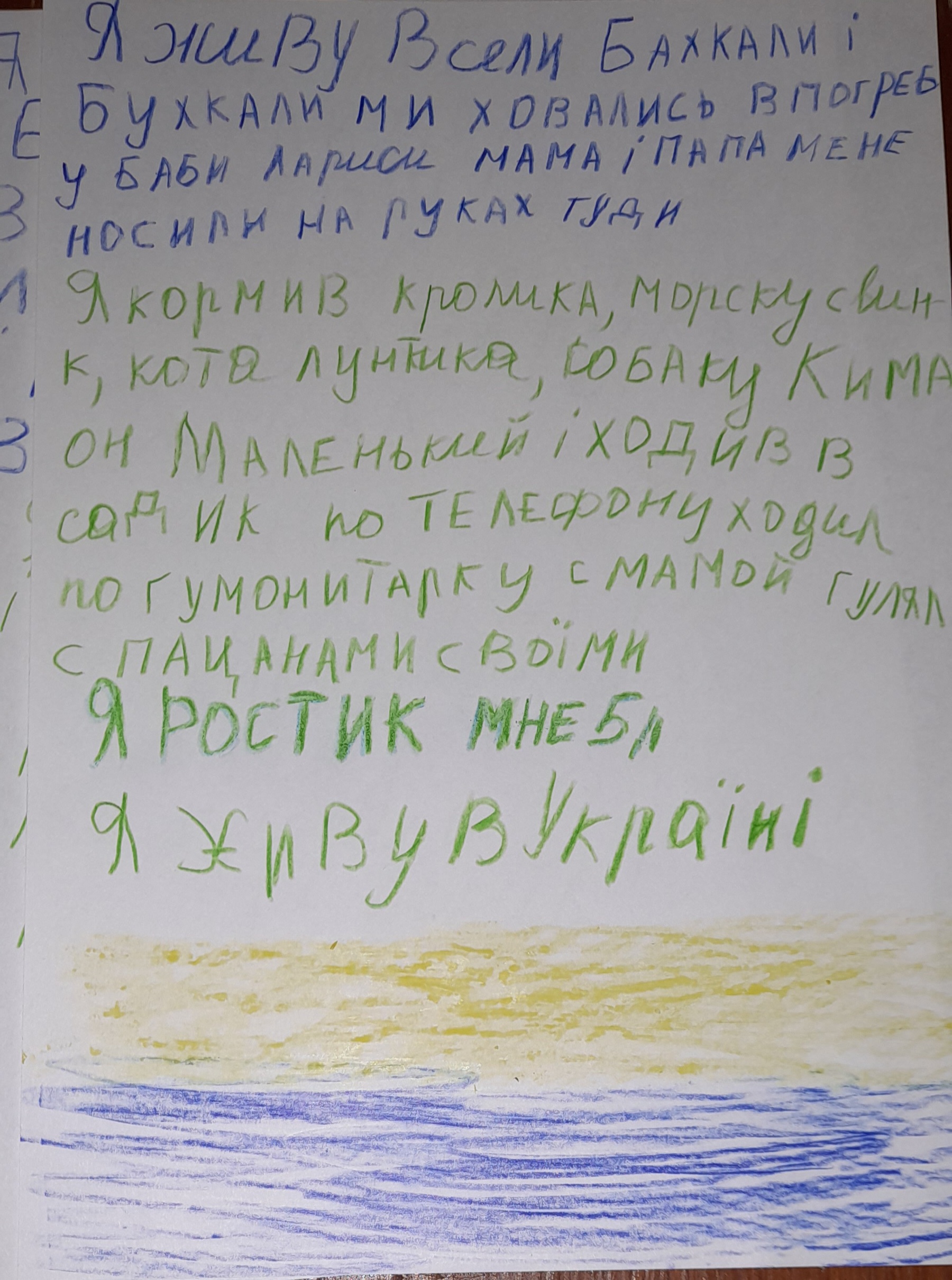 Ми з батьками ховалися в погребі під час обстрілів