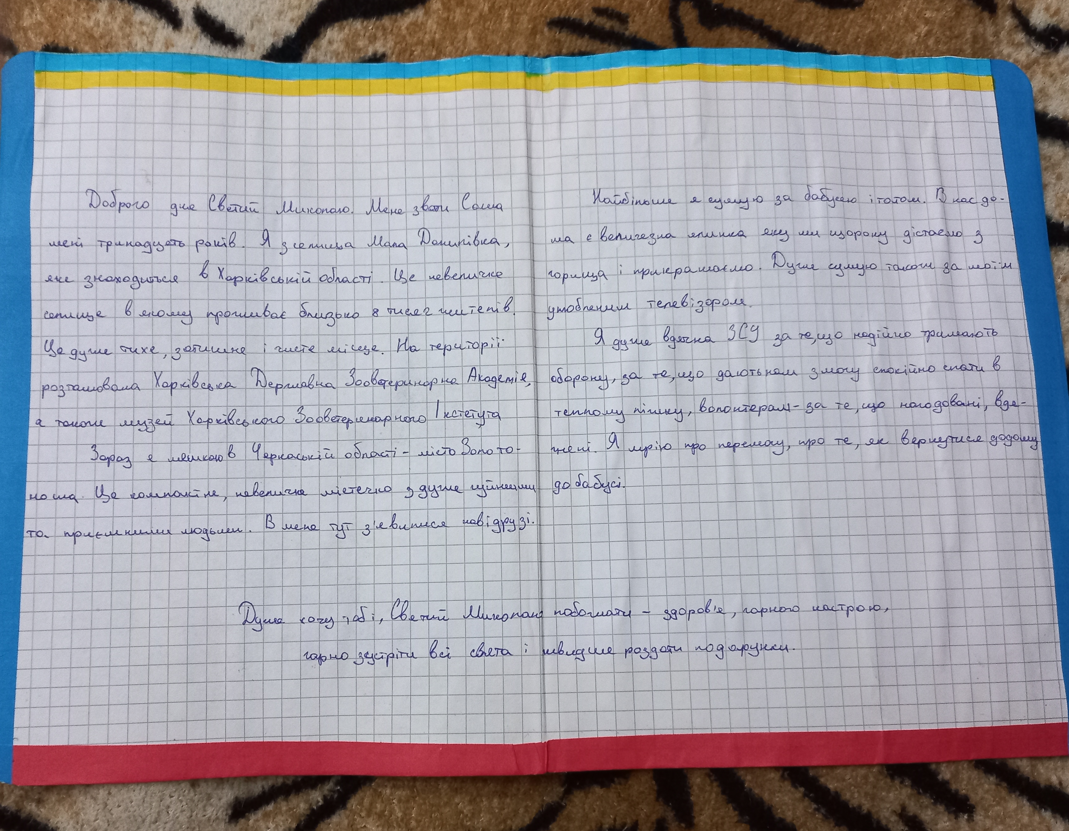 Вдячна ЗСУ за те, що дають нам спокійно спати