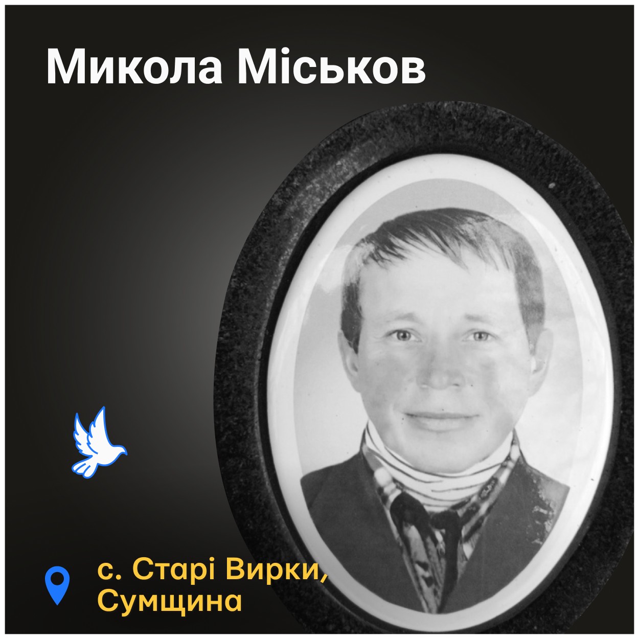 «Почав гукати: «Коля, Коля», а його ніде немає»