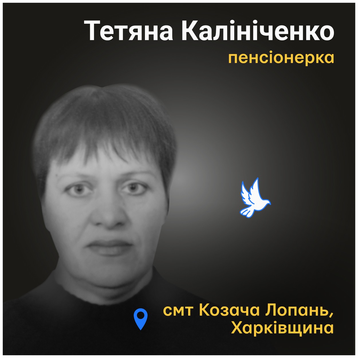 Вона лежала на землі, в руках до останнього міцно тримала пакет з гуманітаркою