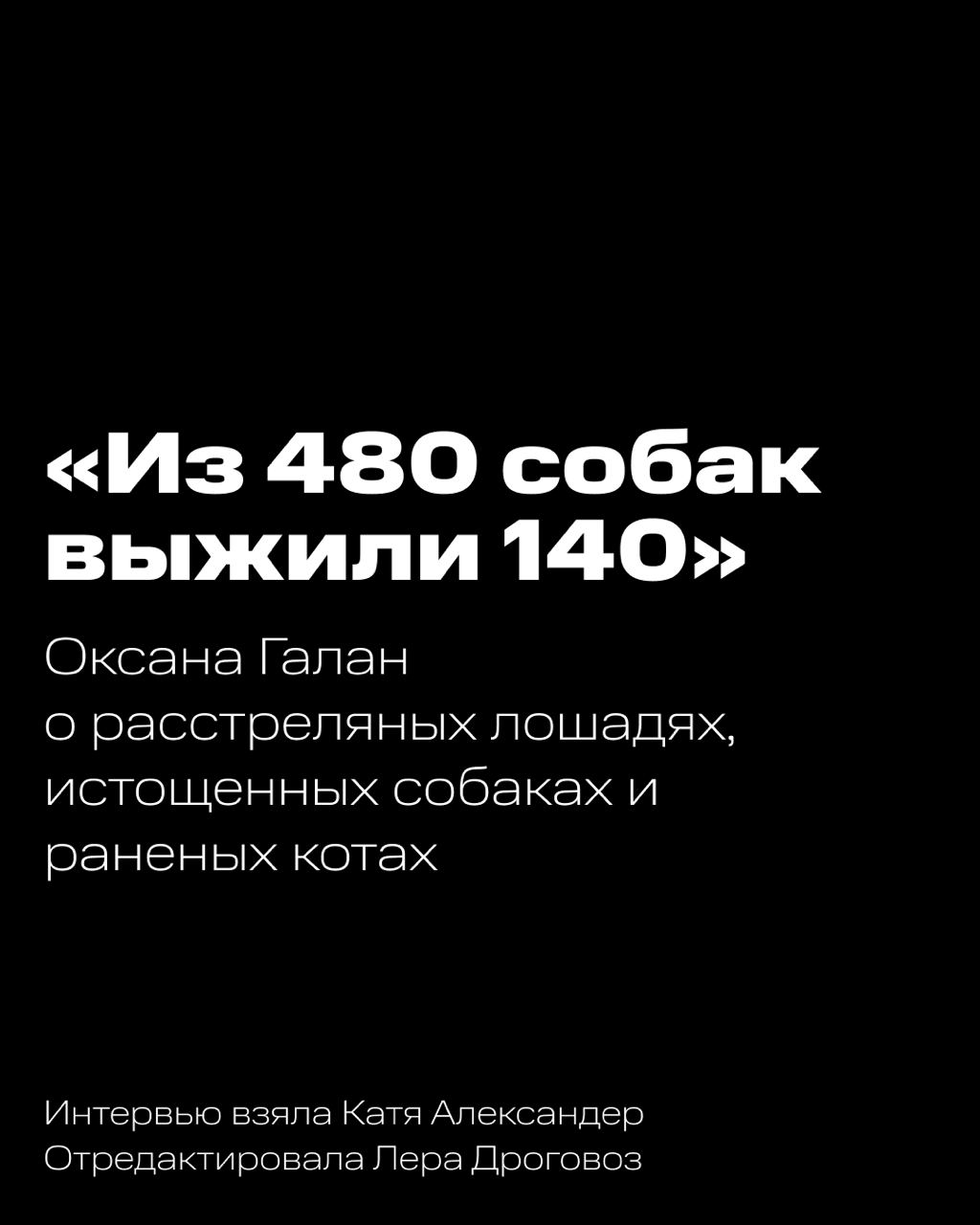 Из 480 собак выжило 140