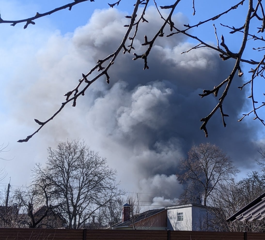 Три тижні прихистку в чужій хаті