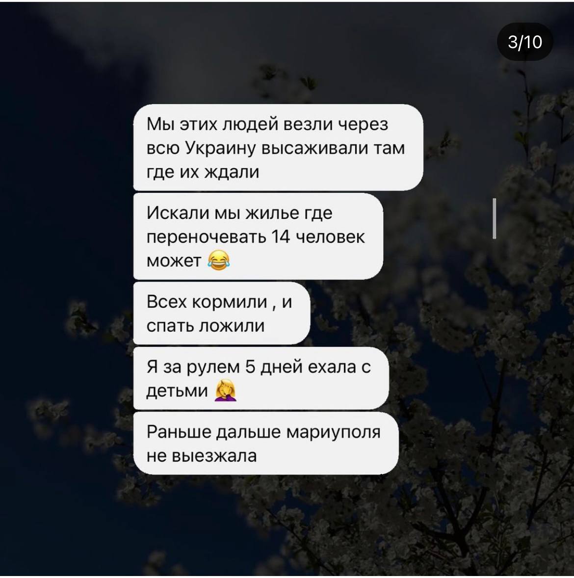 Льоша забив автобус людьми, що під колеса бросались під драмом. Через 30 хвилин драма не стало