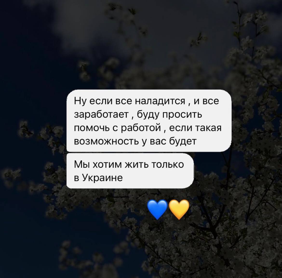 Льоша забив автобус людьми, що під колеса бросались під драмом. Через 30 хвилин драма не стало