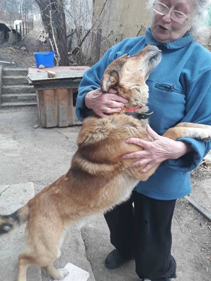 Коли бачила Гостомель своїми очима, вперше плакала за 15 днів