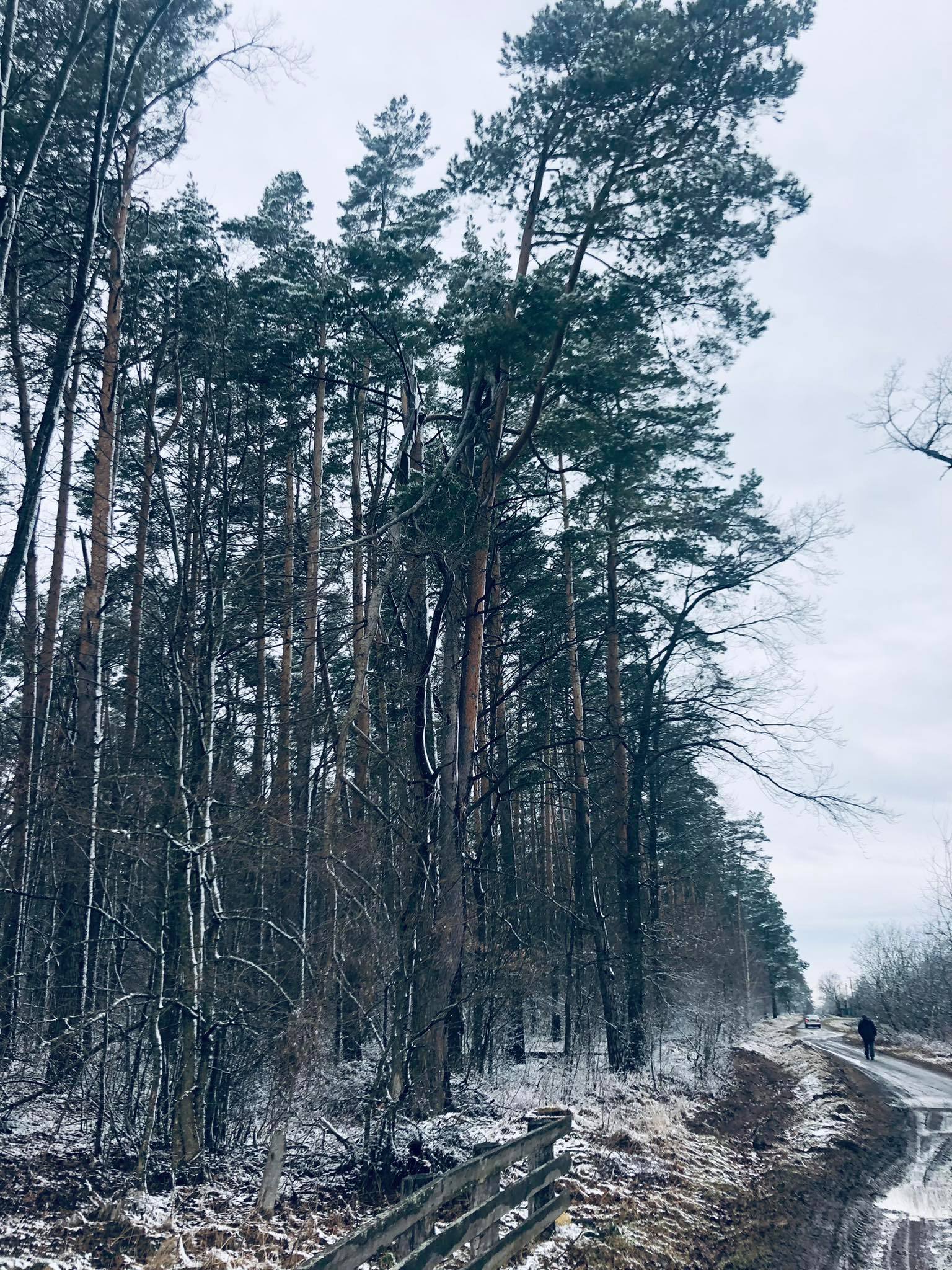 Появился страх голода и желание наесться впрок…