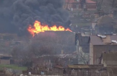 We determined the danger of shelling by our cat Masa