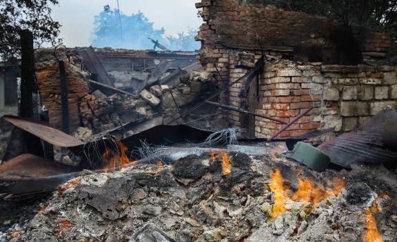 We determined the danger of shelling by our cat Masa