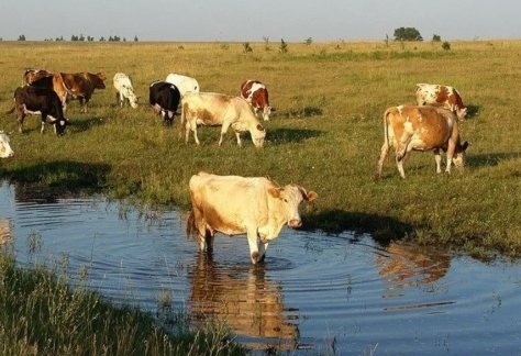 У війни довгі руки, які дістануть усе