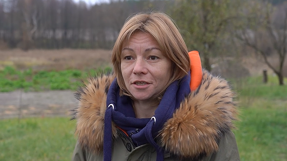 Було враження, що ти дивишся не у вікно, а на палаючий камін