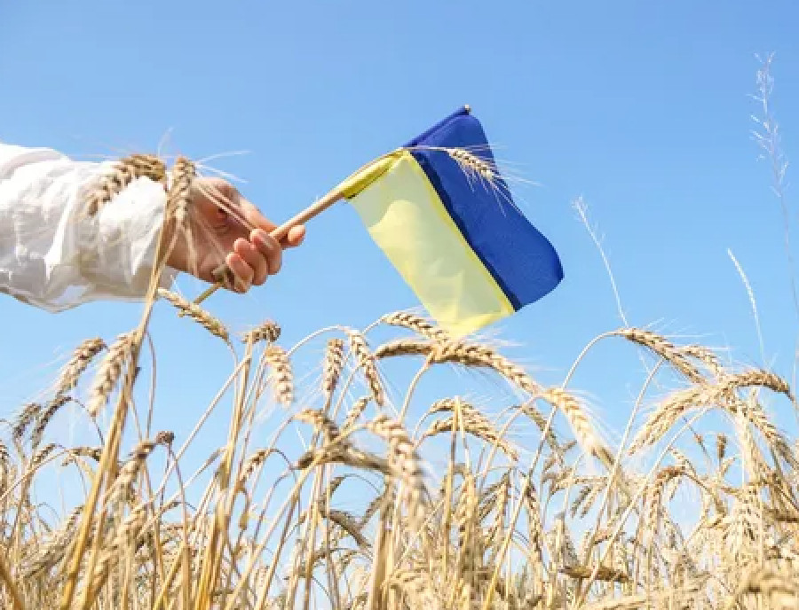 «Україна хоче жити вільною та щасливою»