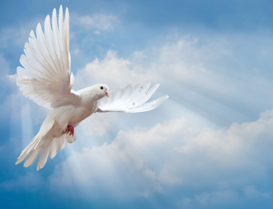 «Тема миру повинна бути найголовнішою для всіх людей»