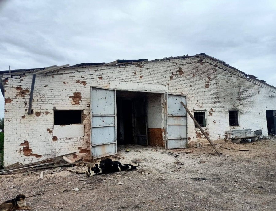 «В поселке были разбитые дома, скотину побило, коровы под обстрел попали»