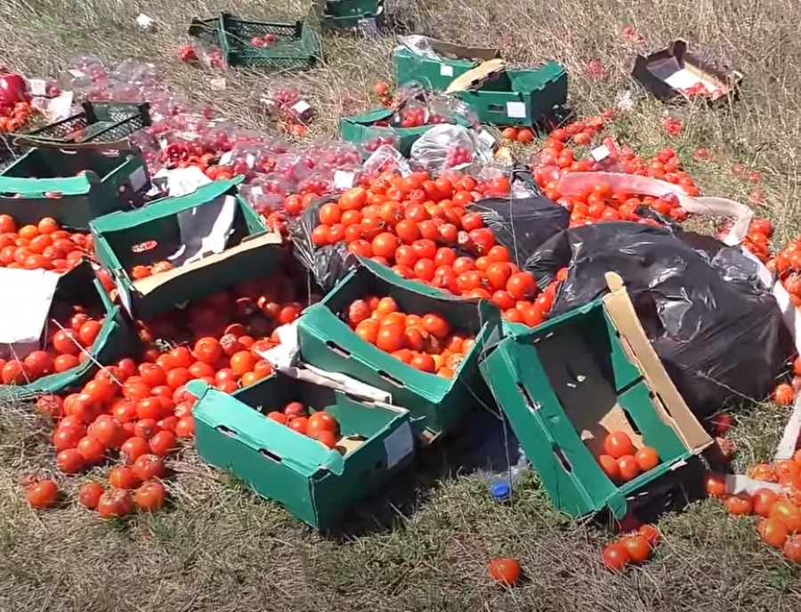 «Раньше выращивали овощи и могли в Луганске их продать, а теперь приходится выбрасывать»