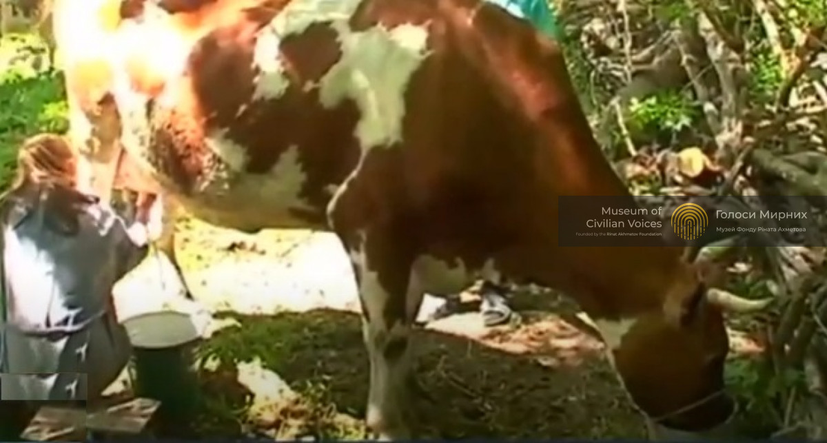 Наша корова Кука рятує дітей від голоду